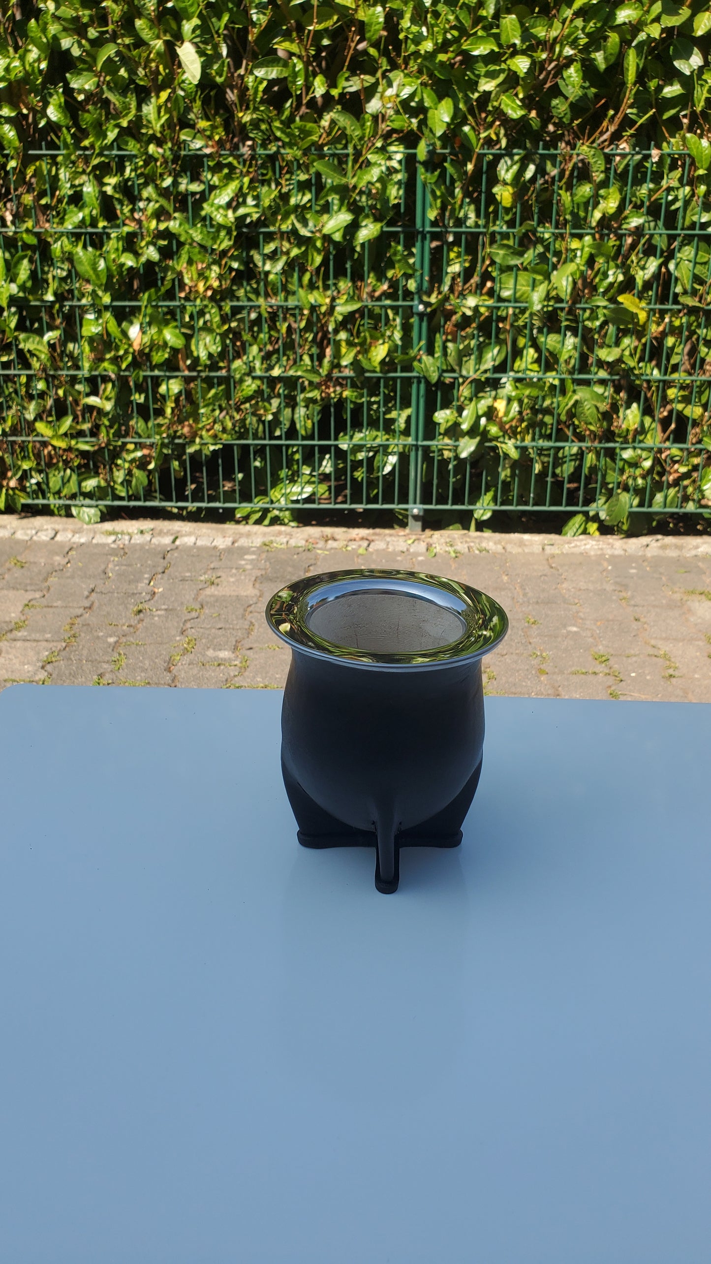 Mate Camionero