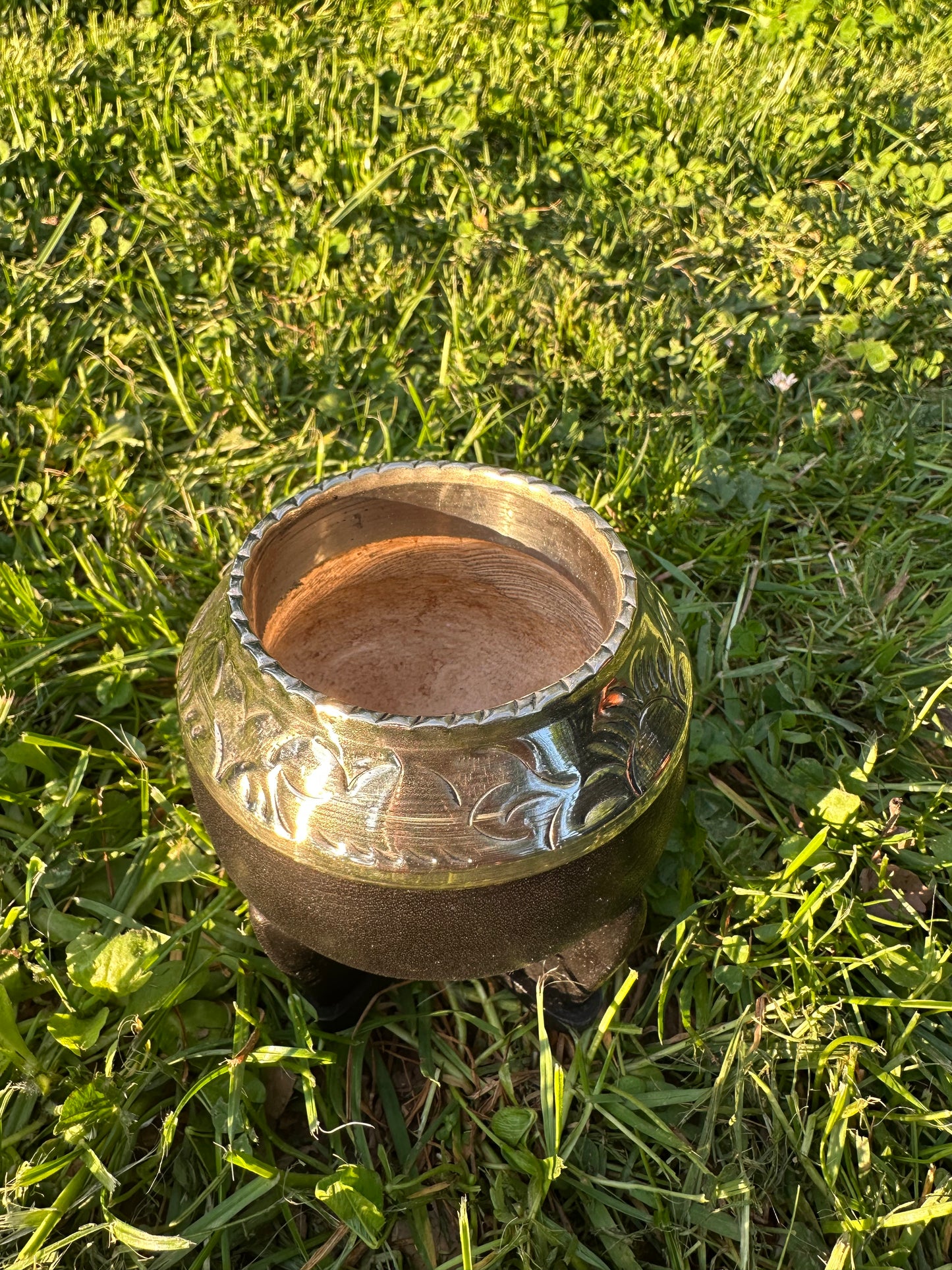 Mate Torpedo Premium