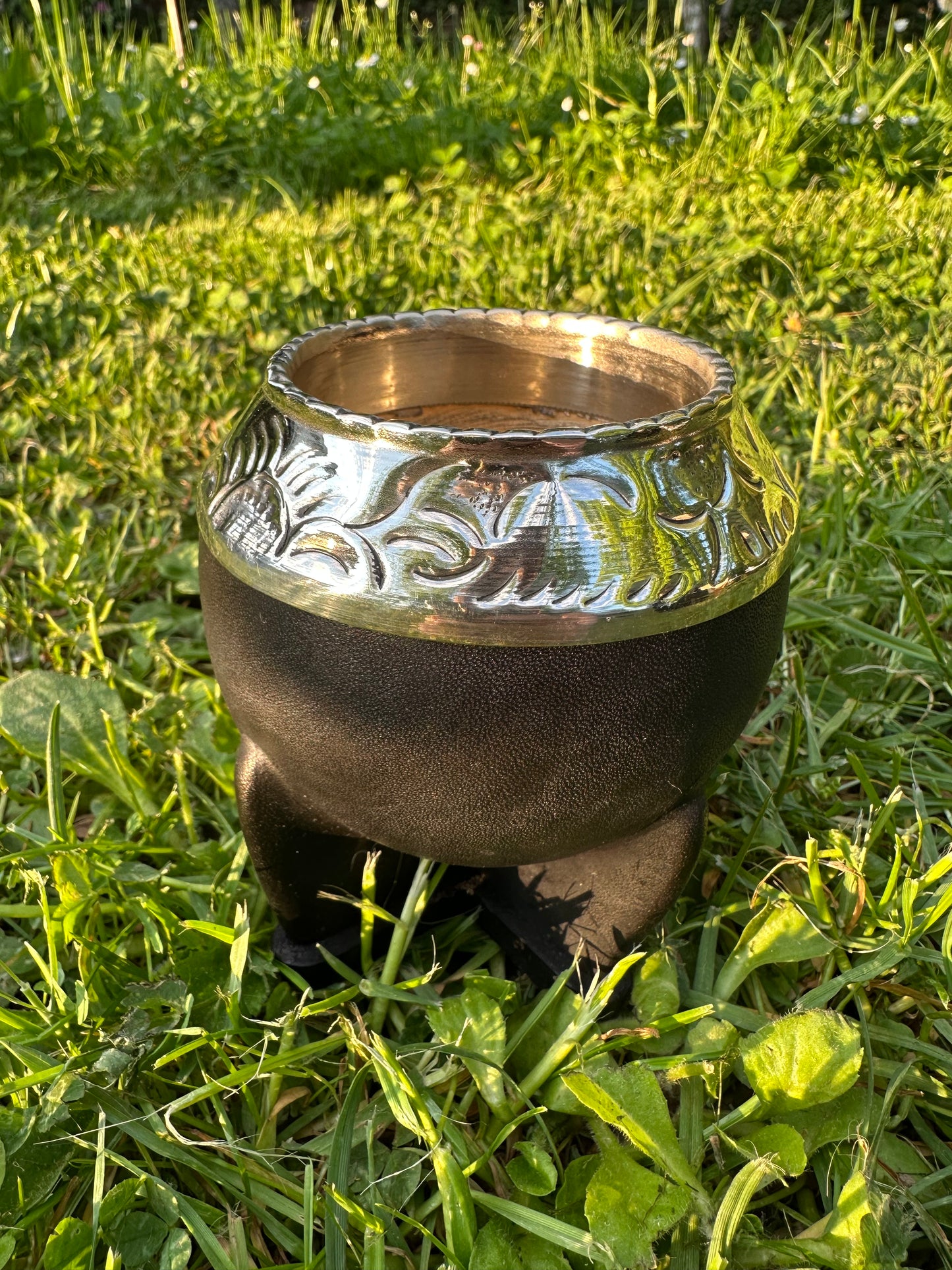 Mate Torpedo Premium